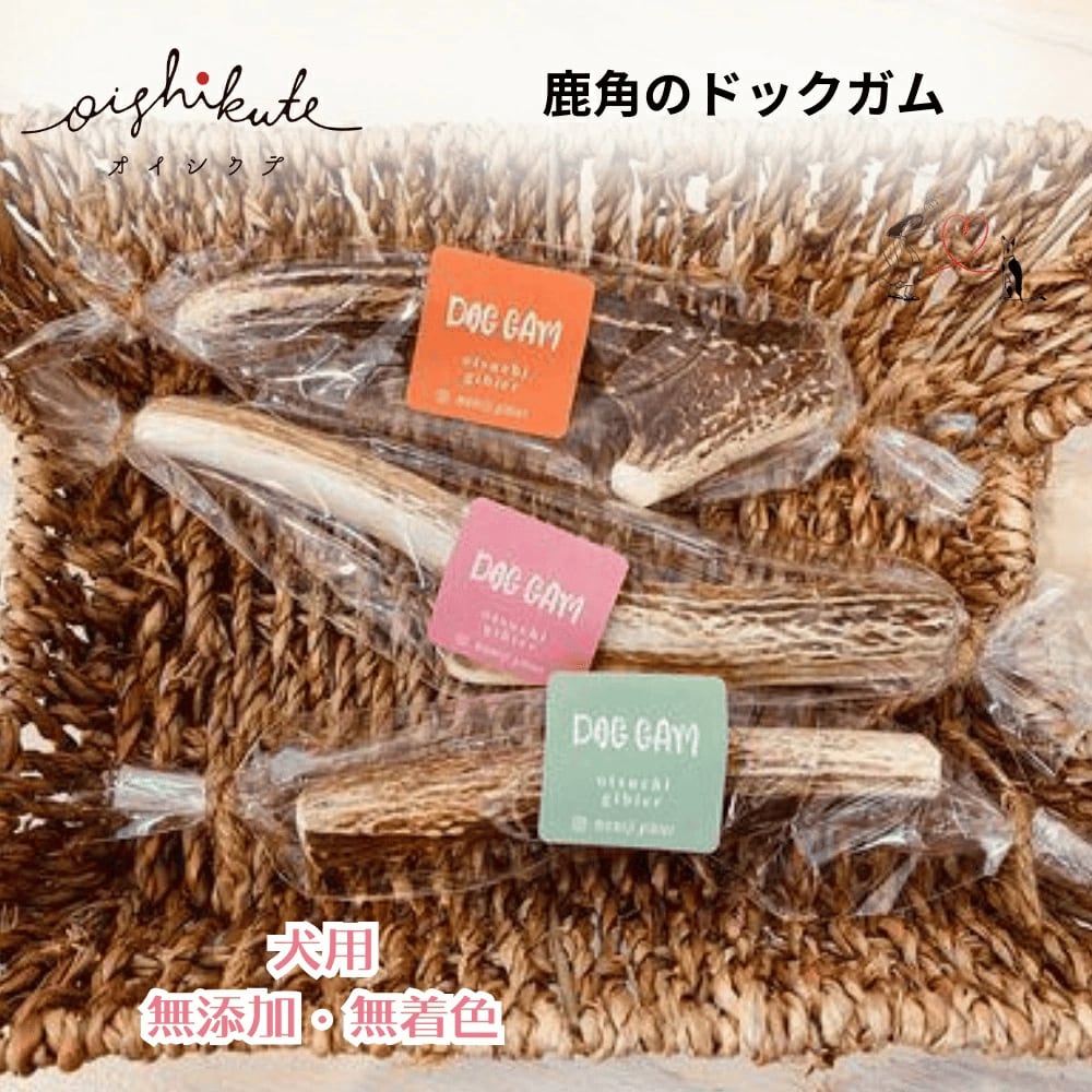 【メール便送料無料】無添加 無着色 犬用 OISHIKUTE 小型犬用 鹿角ドックガム Sサイズ 愛犬 ジビエ ドッグトリーツ