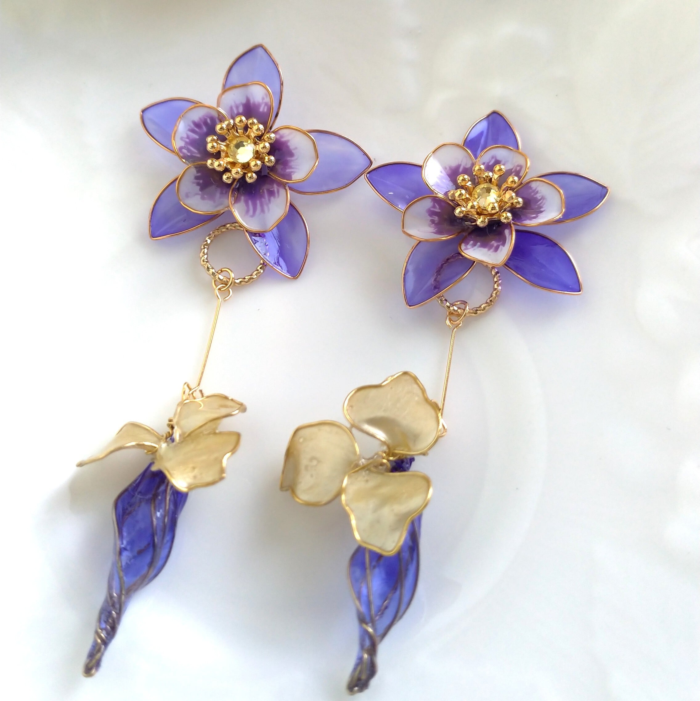 花なし株】 カトレア ブルーパール 'ブルーマジック' C.Blue Pearl