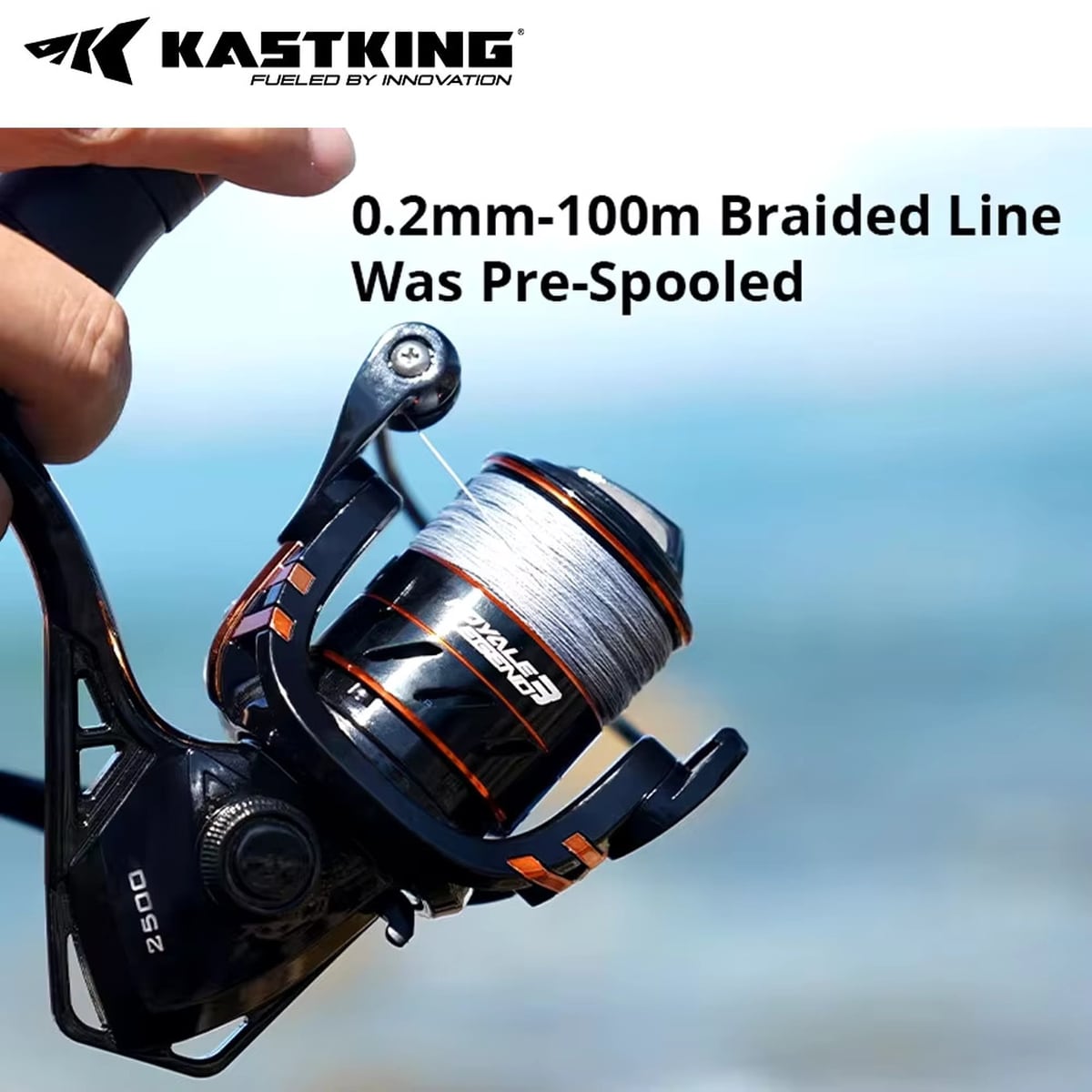 スピニングリール ロッド ライン ルアー セット カストキング KastKing