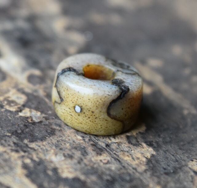 チベタン小粒カパラ ペア カパーラ ビーズ チベット 密教