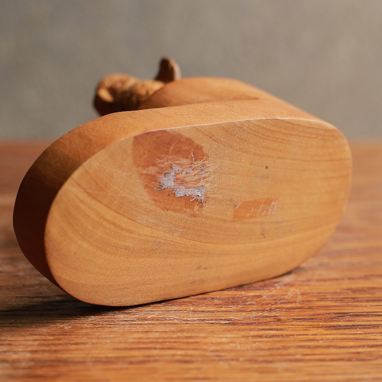 魚を捕まえて盛り上がる、フクロウの家族