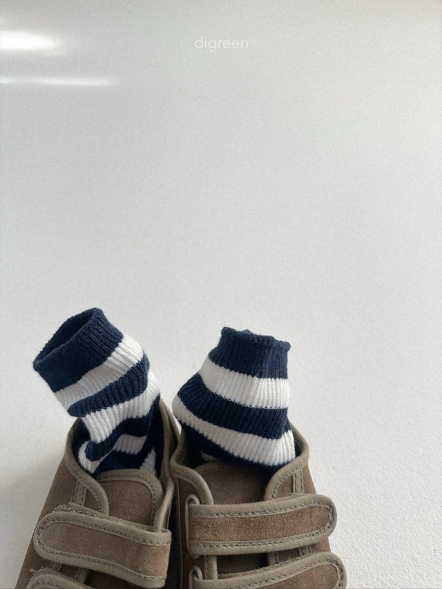 〘予約〙digreen / socks_ minimal st
