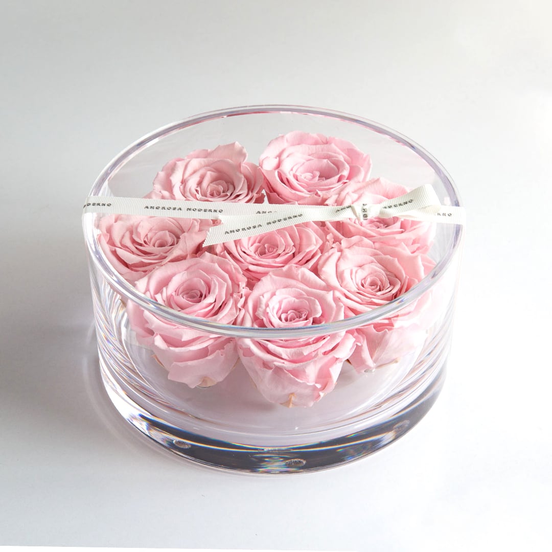 AMOROSA PF-5 【ブリリアントM】ブライトレッド