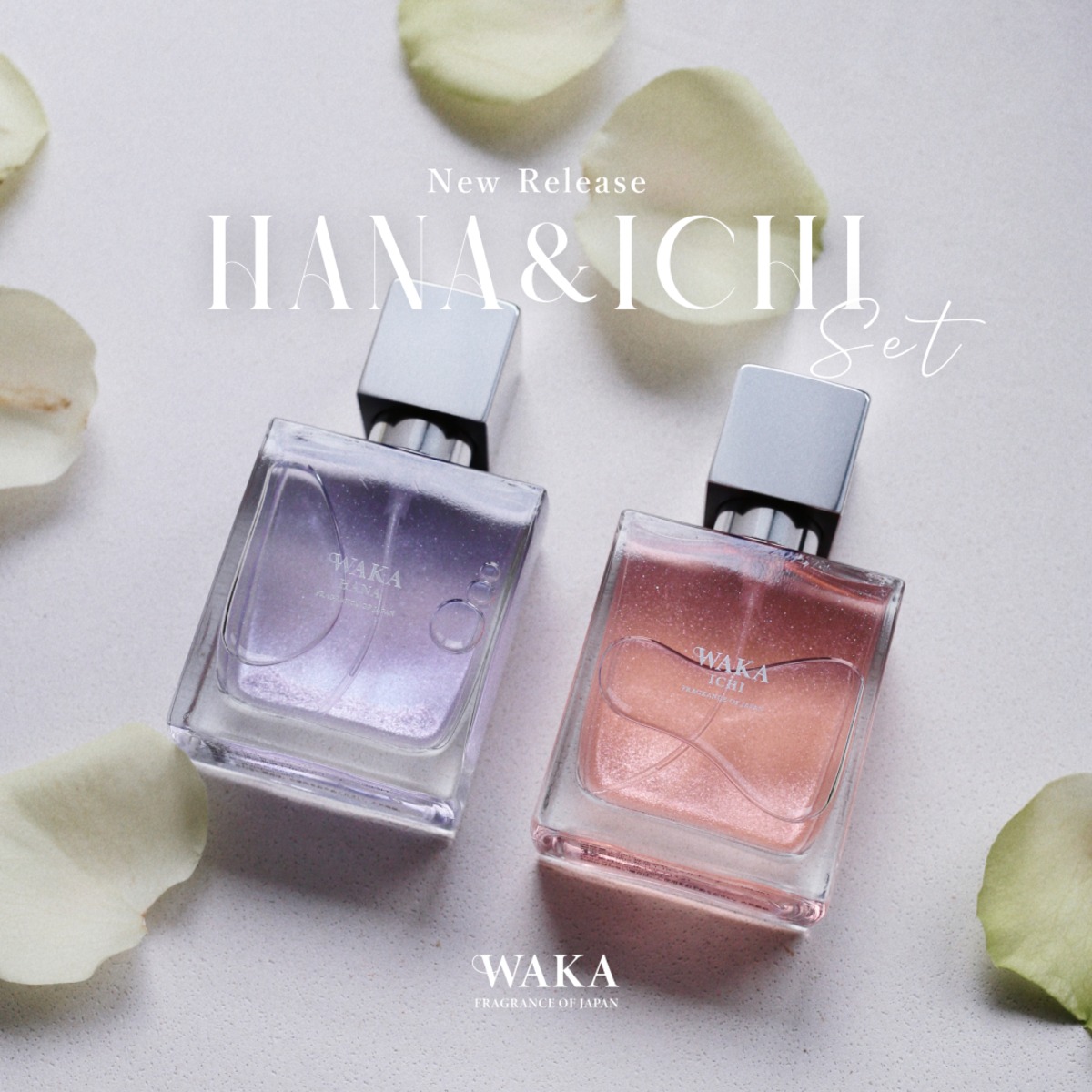 84efcddd26621a19646e39d2ef12d1