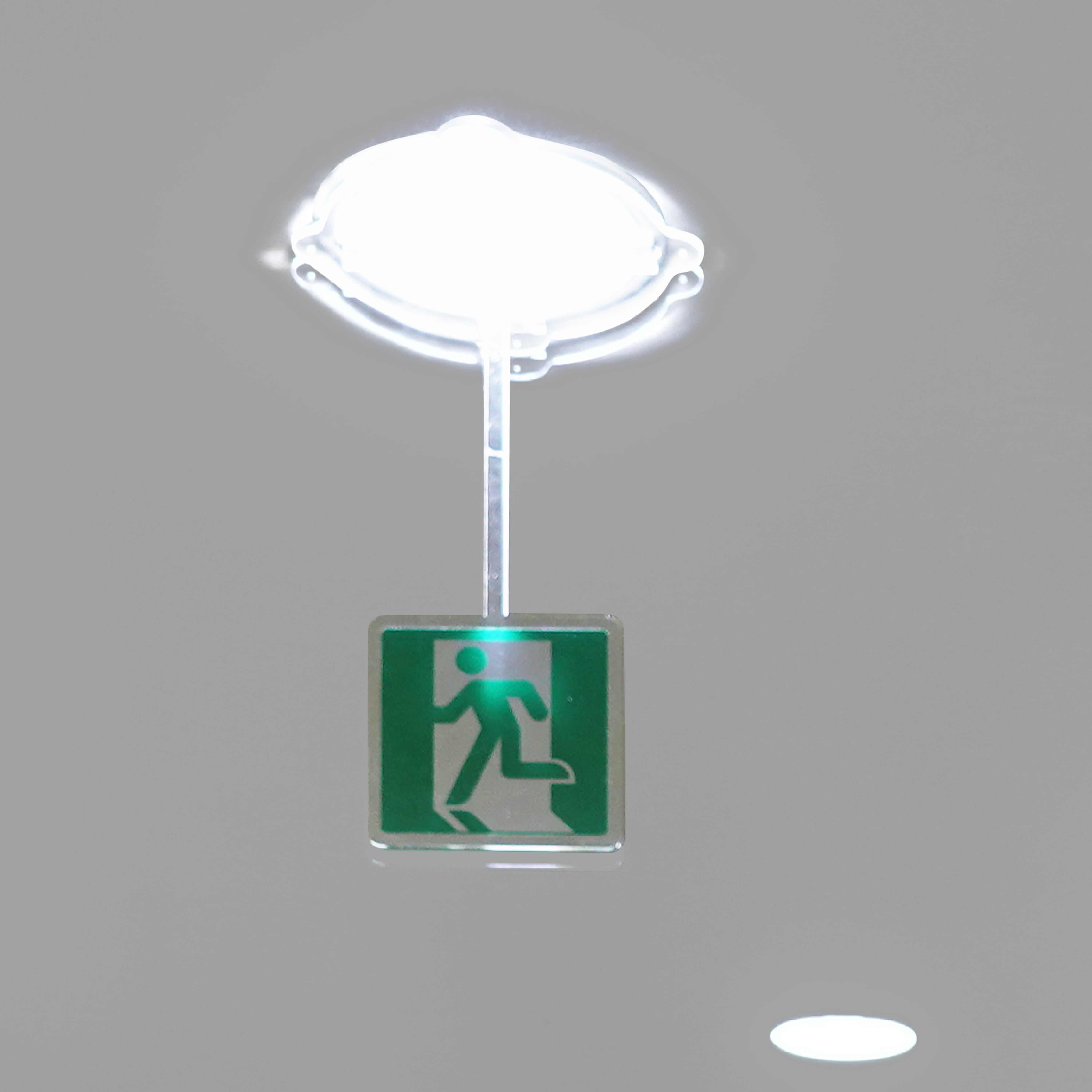 ダウンライトサイン 誘導トイレサイン（LEDライト専用） dls-0006