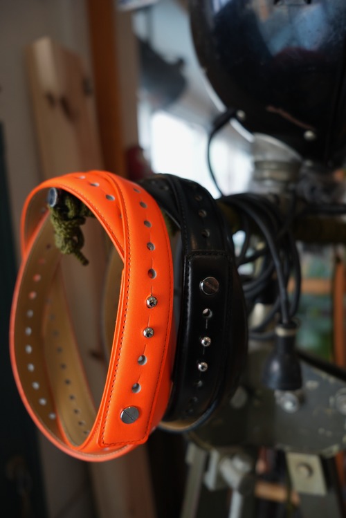 PHINGERIN / FLEXI BELT (NEON)2026AW