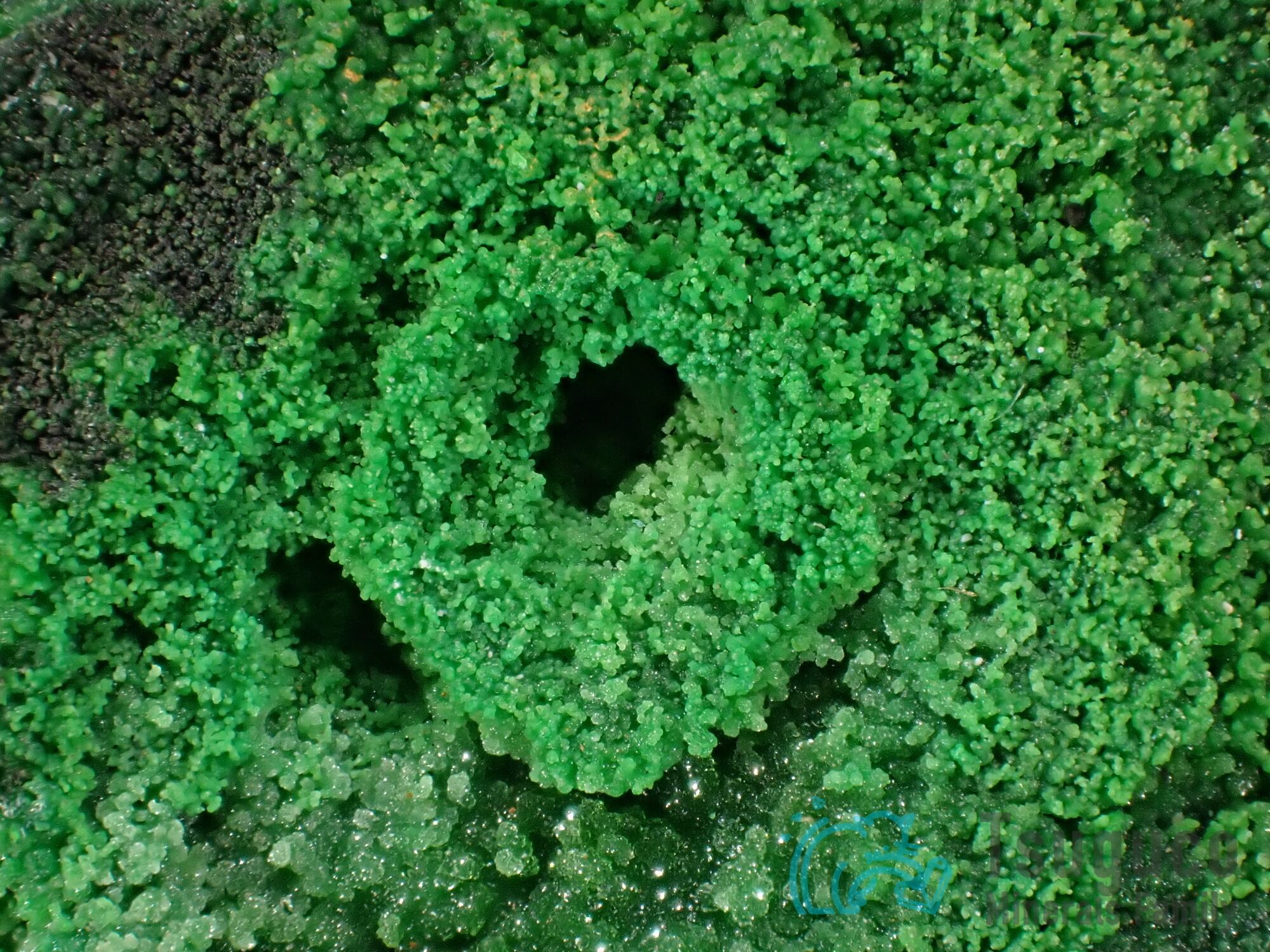 84f492727e9ebab3caadccbe250b82