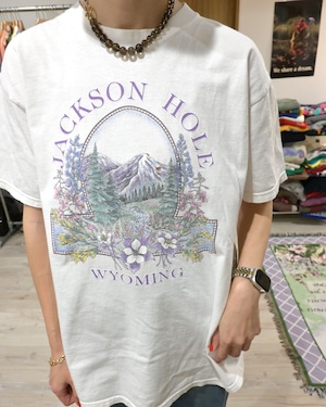 90s anvil DAMAGE TEE L