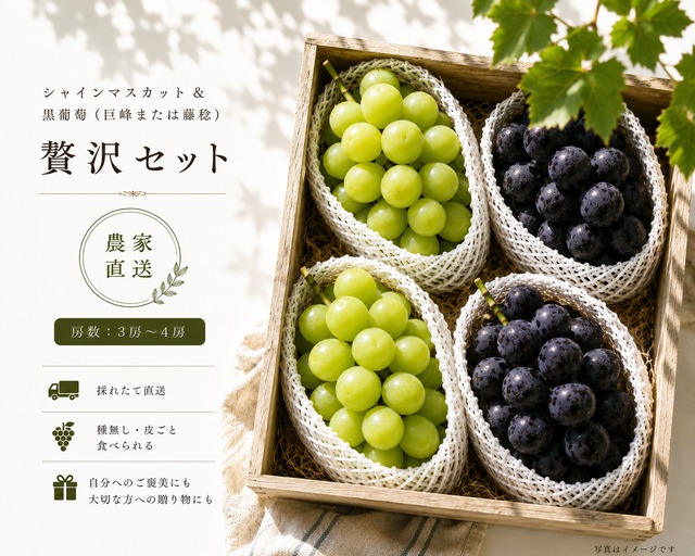 ametohikari