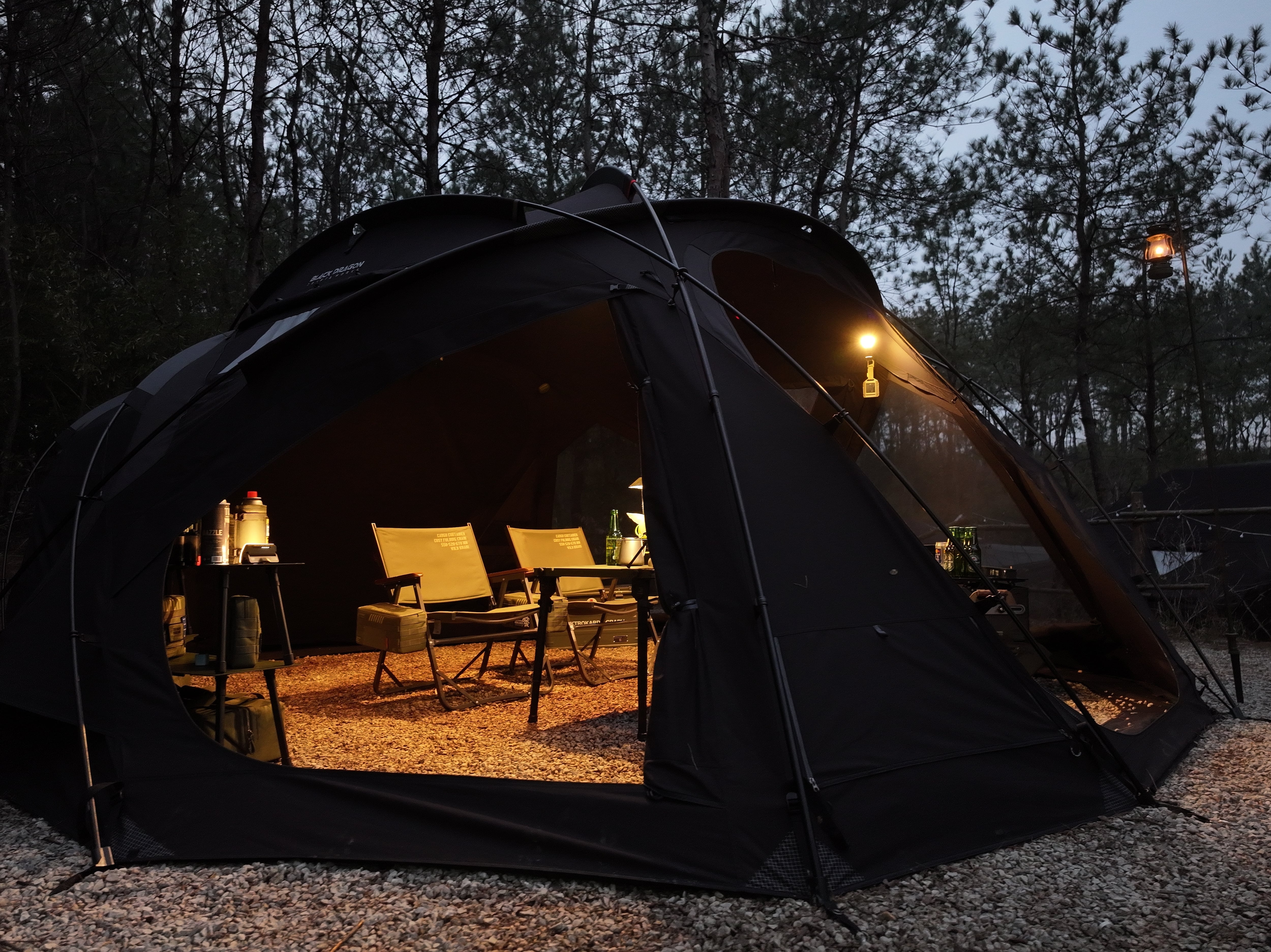 日本限定版Japan Limited Edition] Black Dragon S450 Pro T/C BLACK
