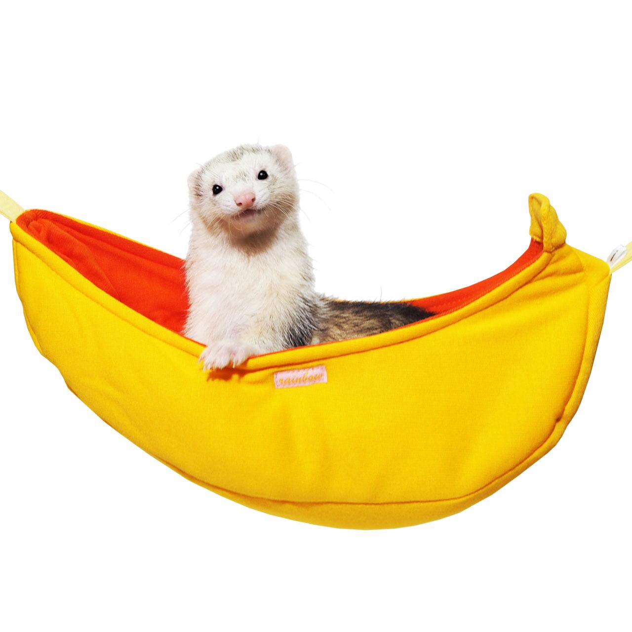 【フェレット】ゆらゆらバナナブランコ