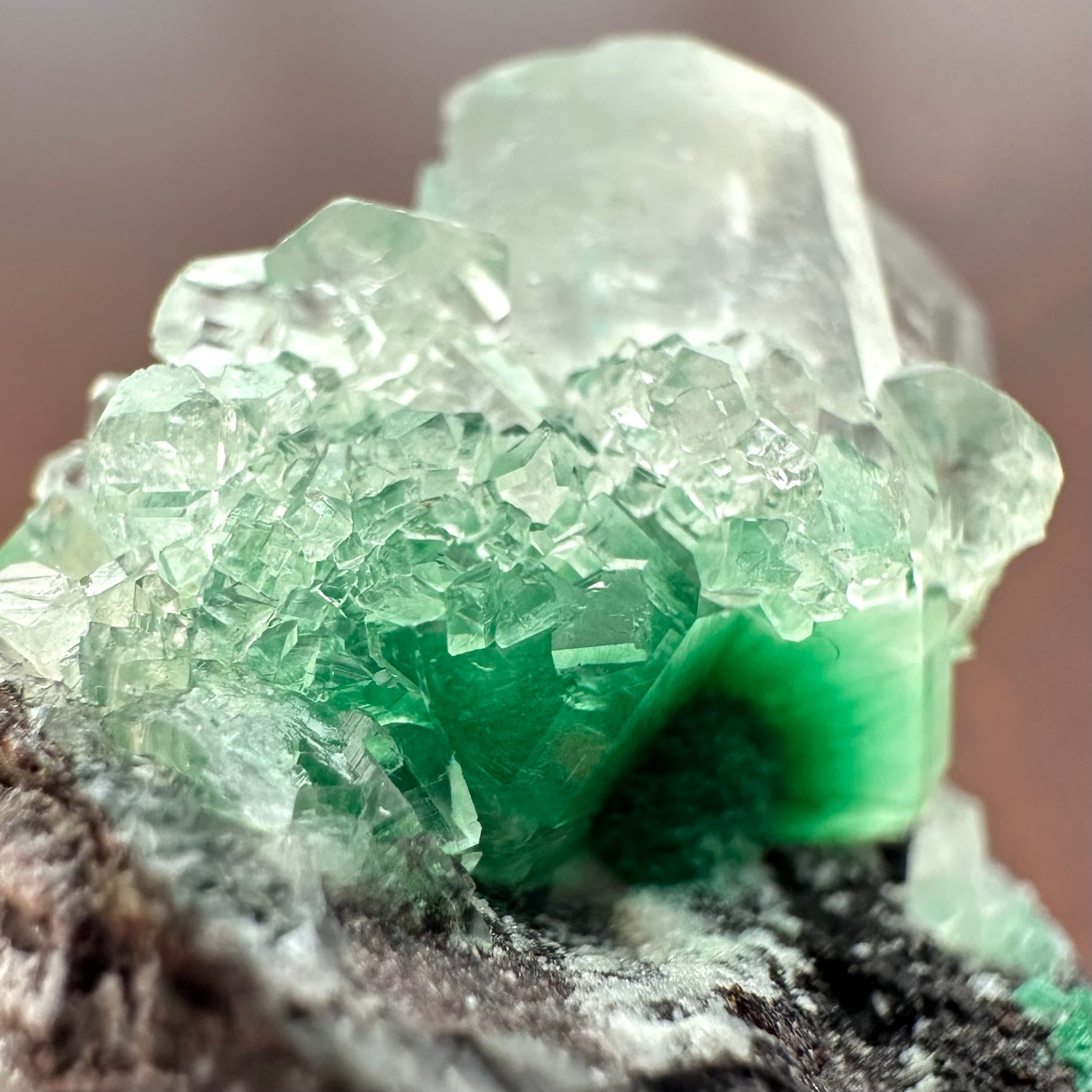 カルサイト / マラカイト【Malachite in Calcite】ナミビア産