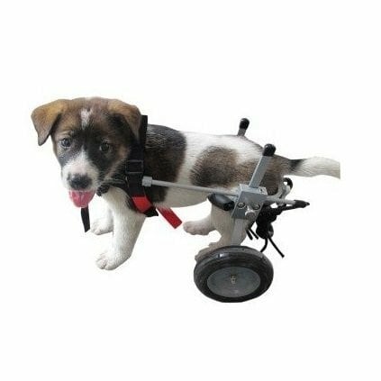 老犬 高齢犬 犬用 車椅子/後輪サポート(XS型・2.5kg～7.5kg・胴幅17.5cm-20.5cm・胴体中間までの高さ17cm-30cm)