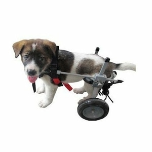 老犬 高齢犬 犬用 車椅子/後輪サポート(XS型・2.5kg～7.5kg・胴幅17.5cm-20.5cm・胴体中間までの高さ17cm-30cm)