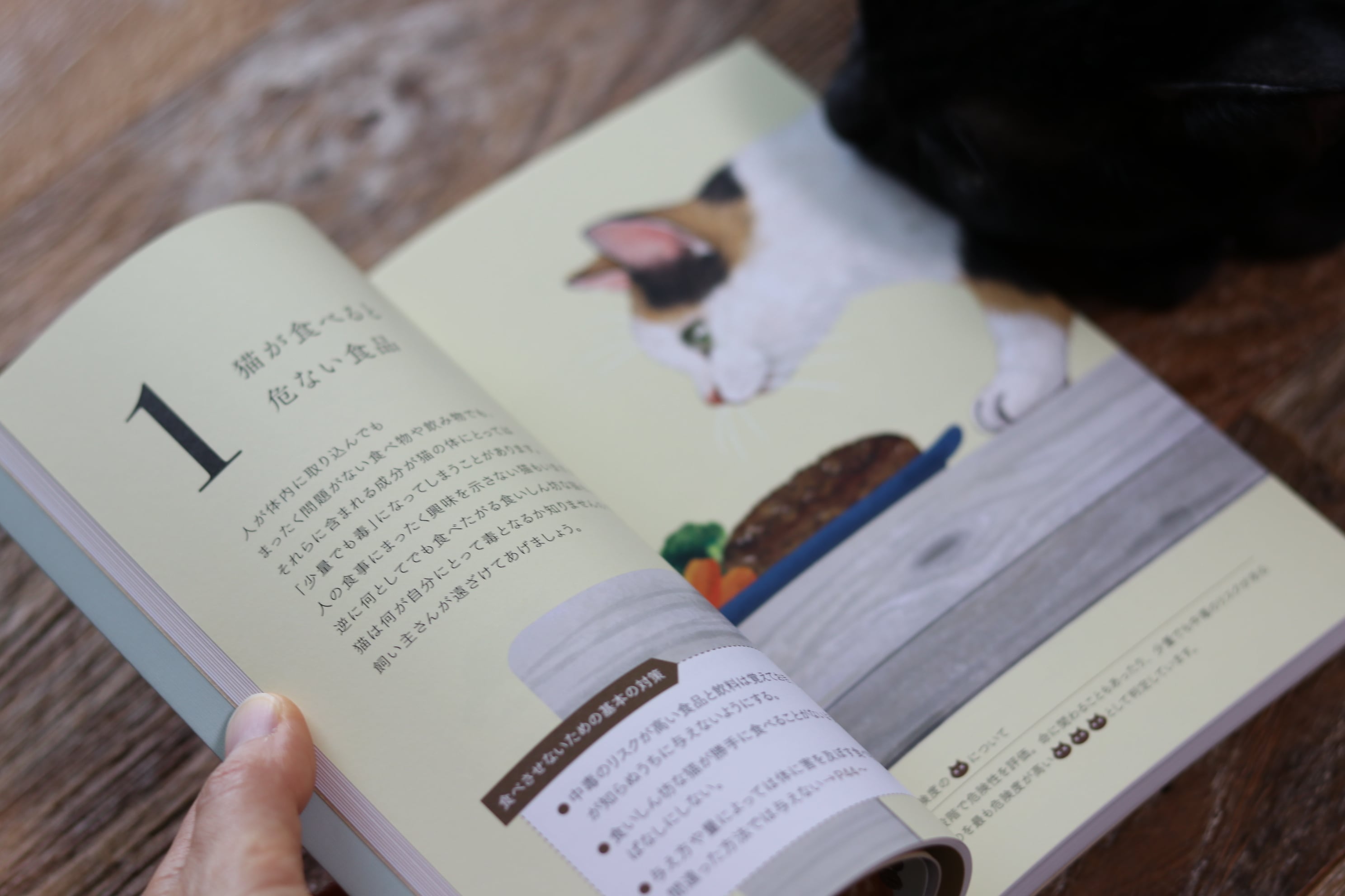 書籍「猫が食べると危ない食品・植物・家の中の物図鑑」 | comugineko