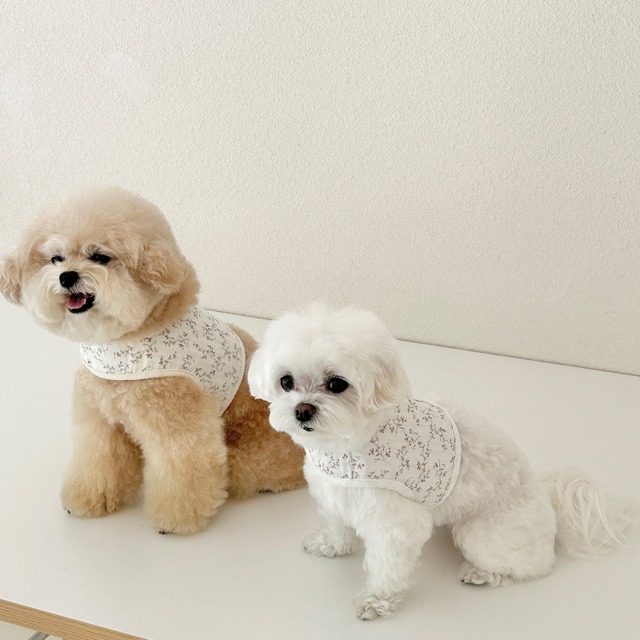 〈予約アイテム〉EYOU  ハーネス / 果実ハーネス（赤い実)