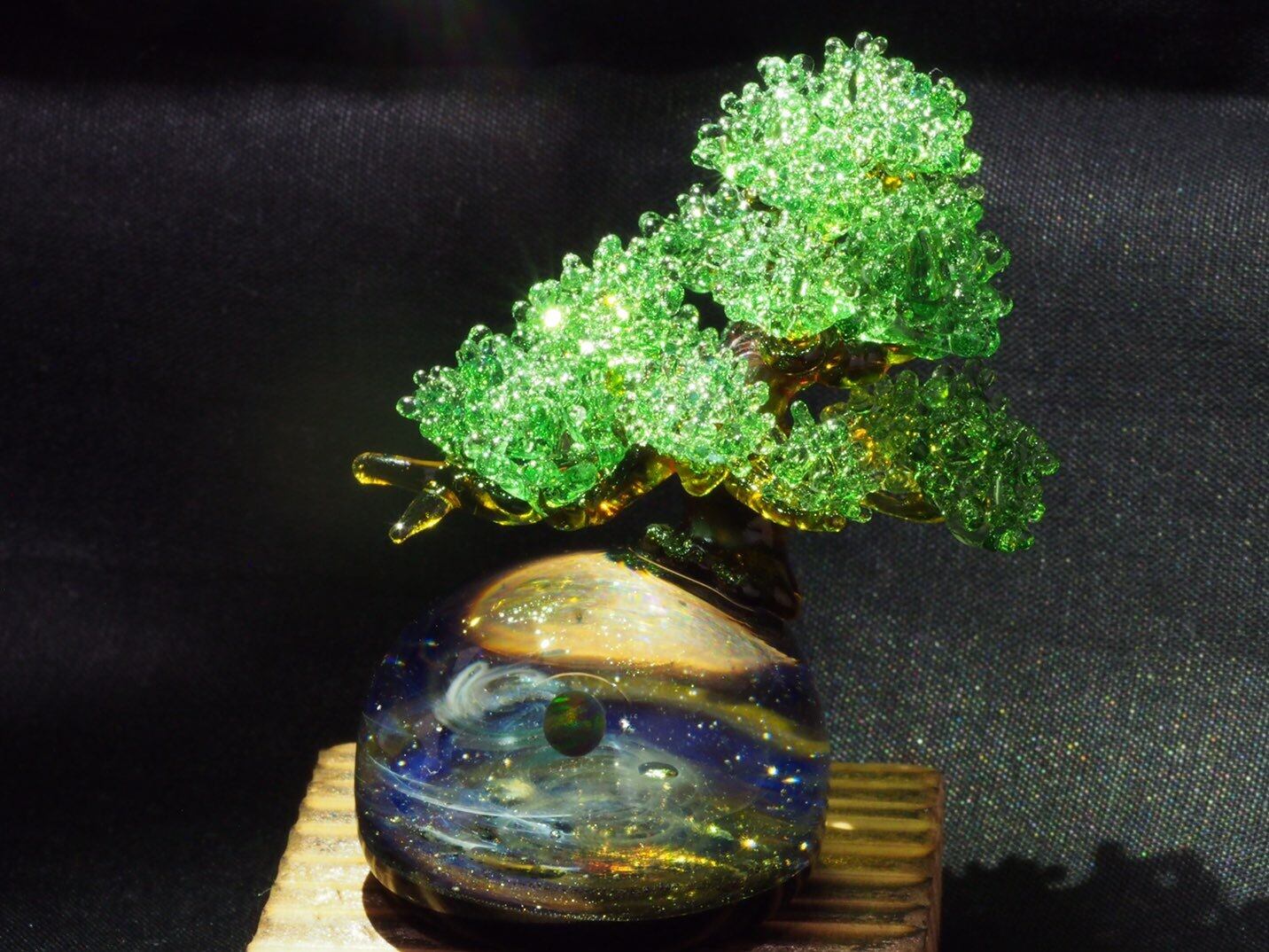 spaceBonsai」 オーダー | S.J.B.works