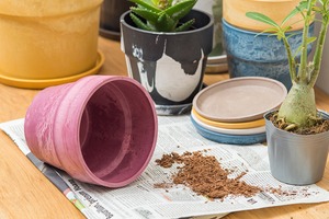 アーバンプランツポット 13.5cm ブルーベリー