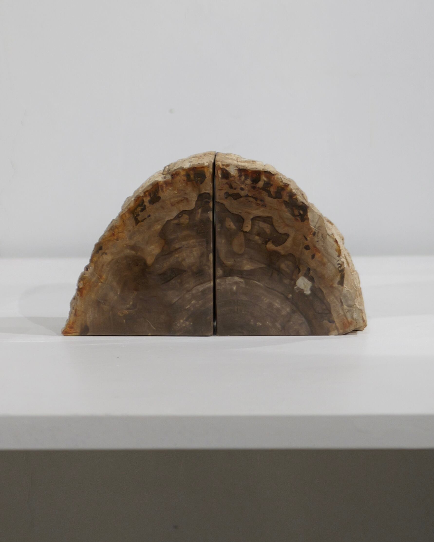 珪化木 OAK Petrified Wood - Book End #001 ：Natural｜珪化木／一点もの