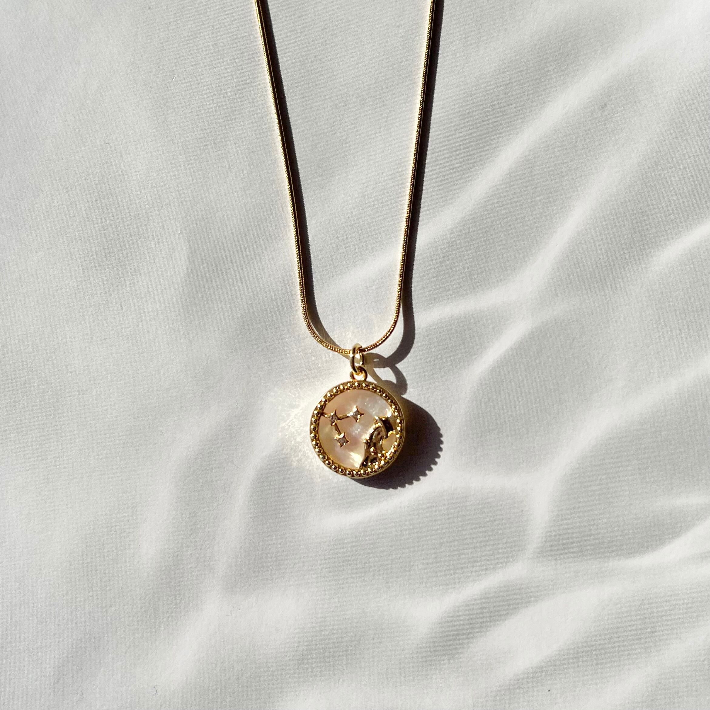 みずがめ座〉星座シェル コインネックレス 18KGPサージカルステンレス