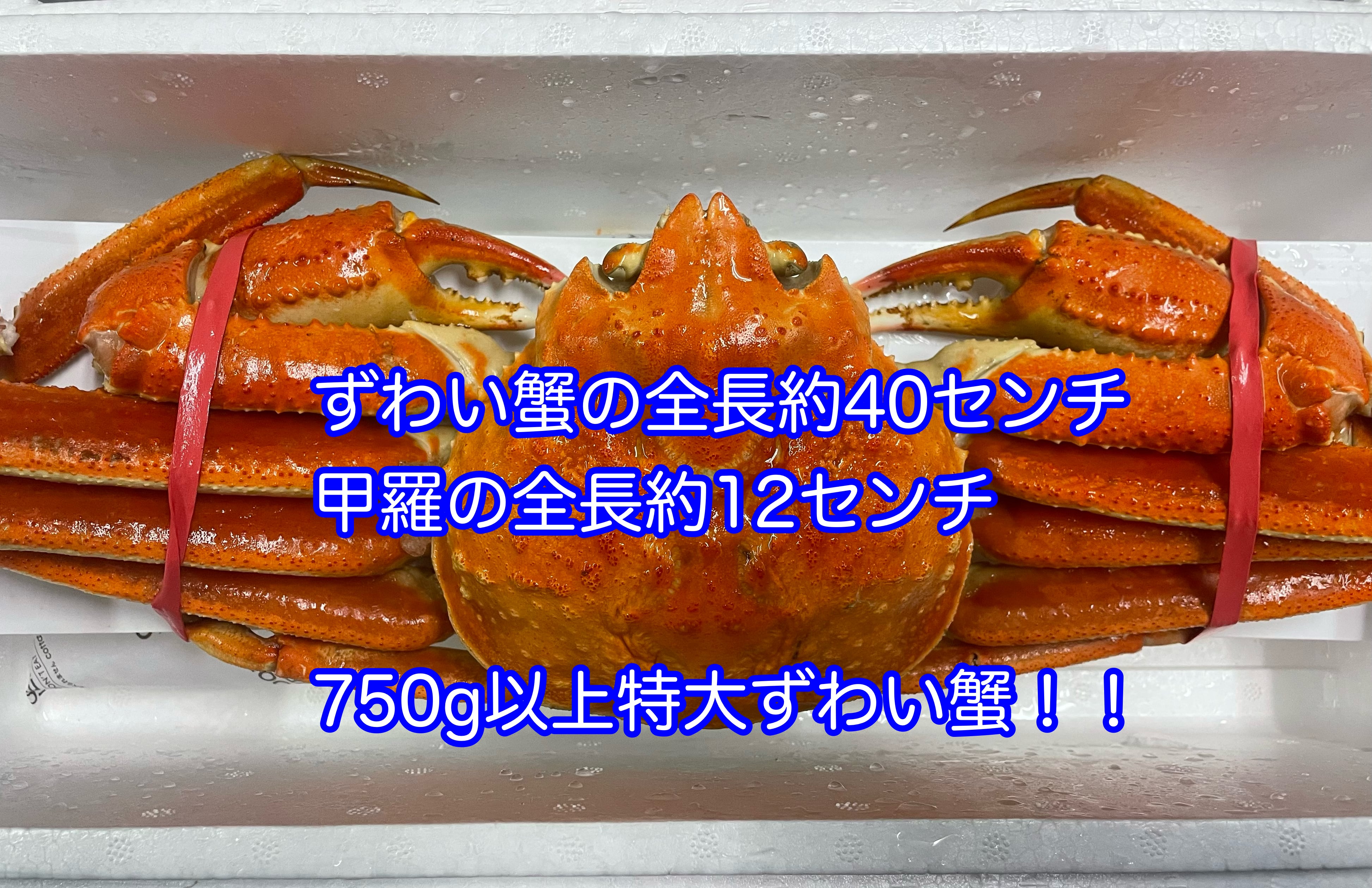 750g以上　雄島水産(株)　ハイクオリティ送料無料！　冷凍ずわい蟹