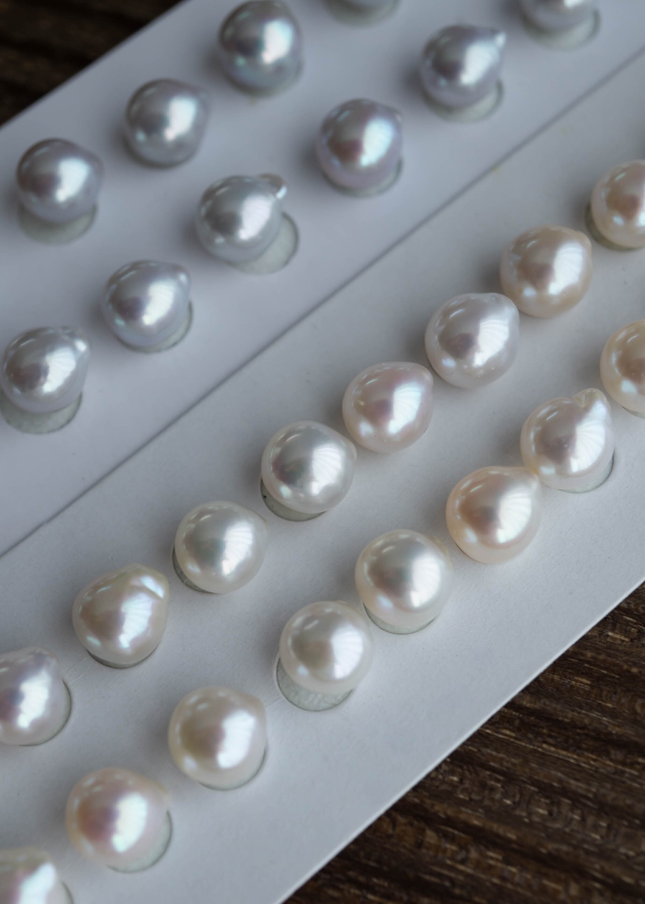 アメリカンピアス - Peak Drop／K10YG - White