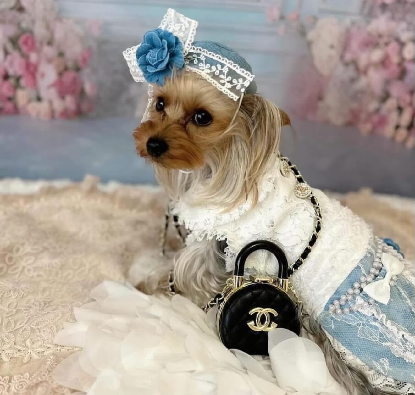 茶々丸様 客注 | candydogg 