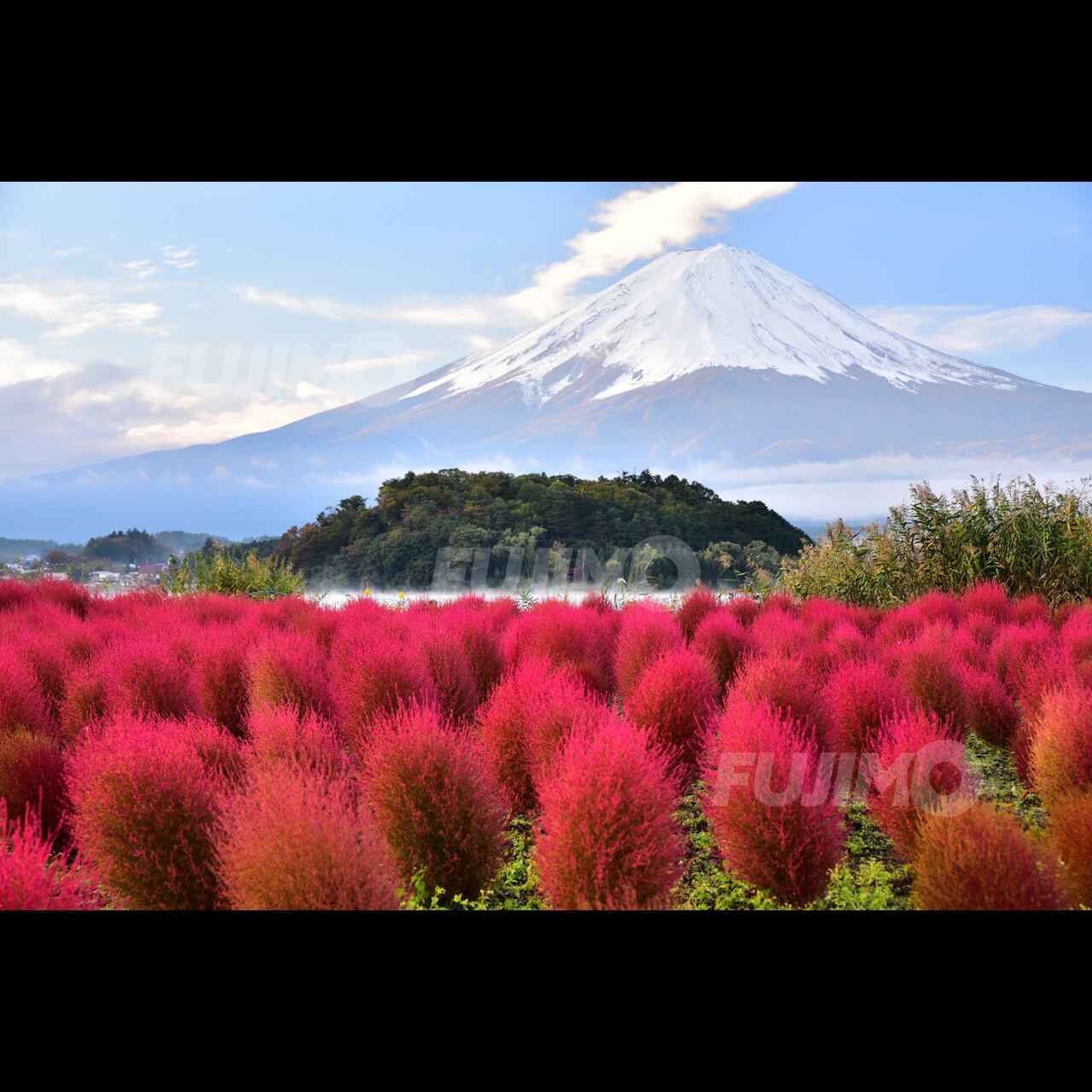 オンライン限定商品】 日本風景 【最強映え】花旅楽団 富士山