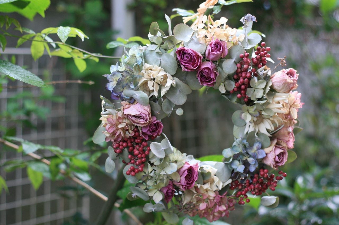 フランネルフラワーと紫陽花のリース　ドライフラワーリース フランネルフラワーと紫陽花のリースドライフラワーリース