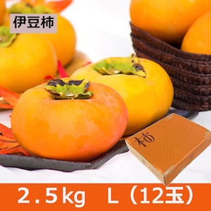 伊豆柿 L 12玉（2.5ｋｇ）【2023年10月下旬頃より発送開始】