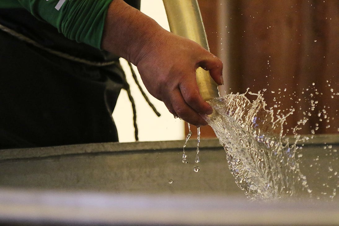 天虹／袋採り 純米大吟醸 40 山田錦 1800ml | TENKOU