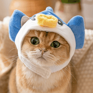 【PET】3色展開アニマル模様のマジックテープ付きコスプレ帽子