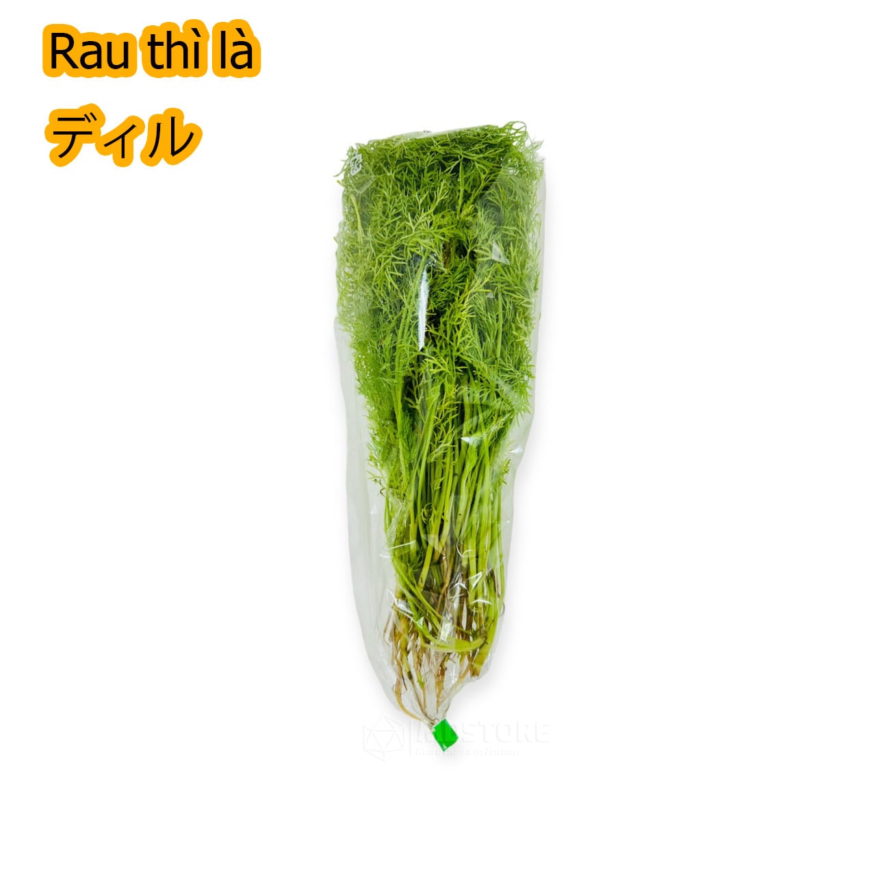 新鮮ヒカマ・Củ đậu - Vietnam Jikama 1kg | VIETNAM FOODS - ベトナム
