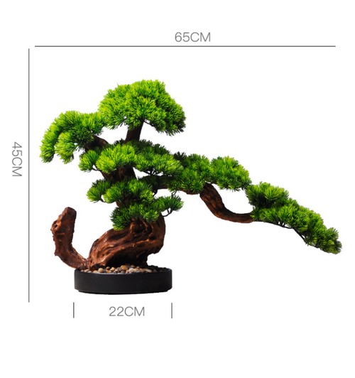 水やり不要 迎客松 – 格上げインテリア