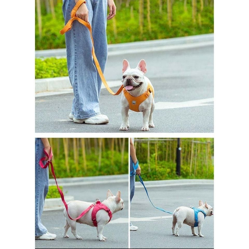 ◎COACH コーチ 犬用 リード&首輪セット Lサイズ コーチ COACH ◎COACH コーチ 犬用 リード&首輪セット Lサイズ コーチ COACH