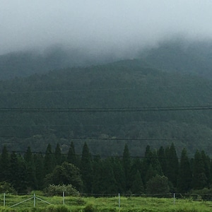 久住の様々な自然環境が良いものを生み出します。　　　(非売品）