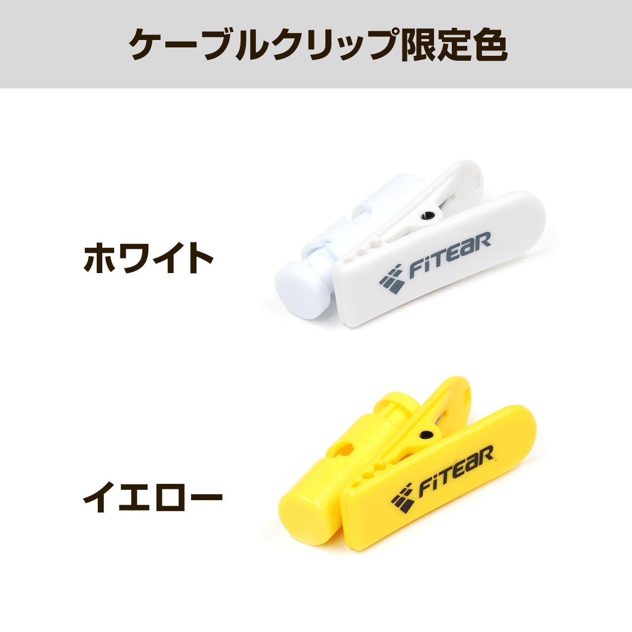 FitEar Laboratory