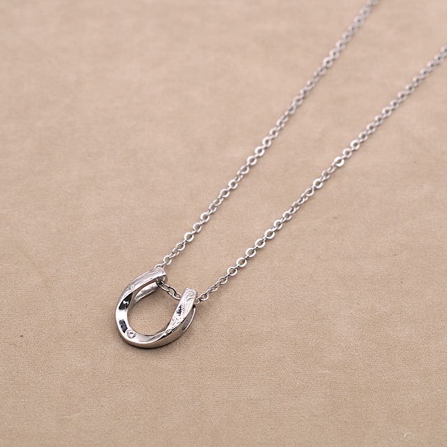 ST graceful steel horseshoe necklace