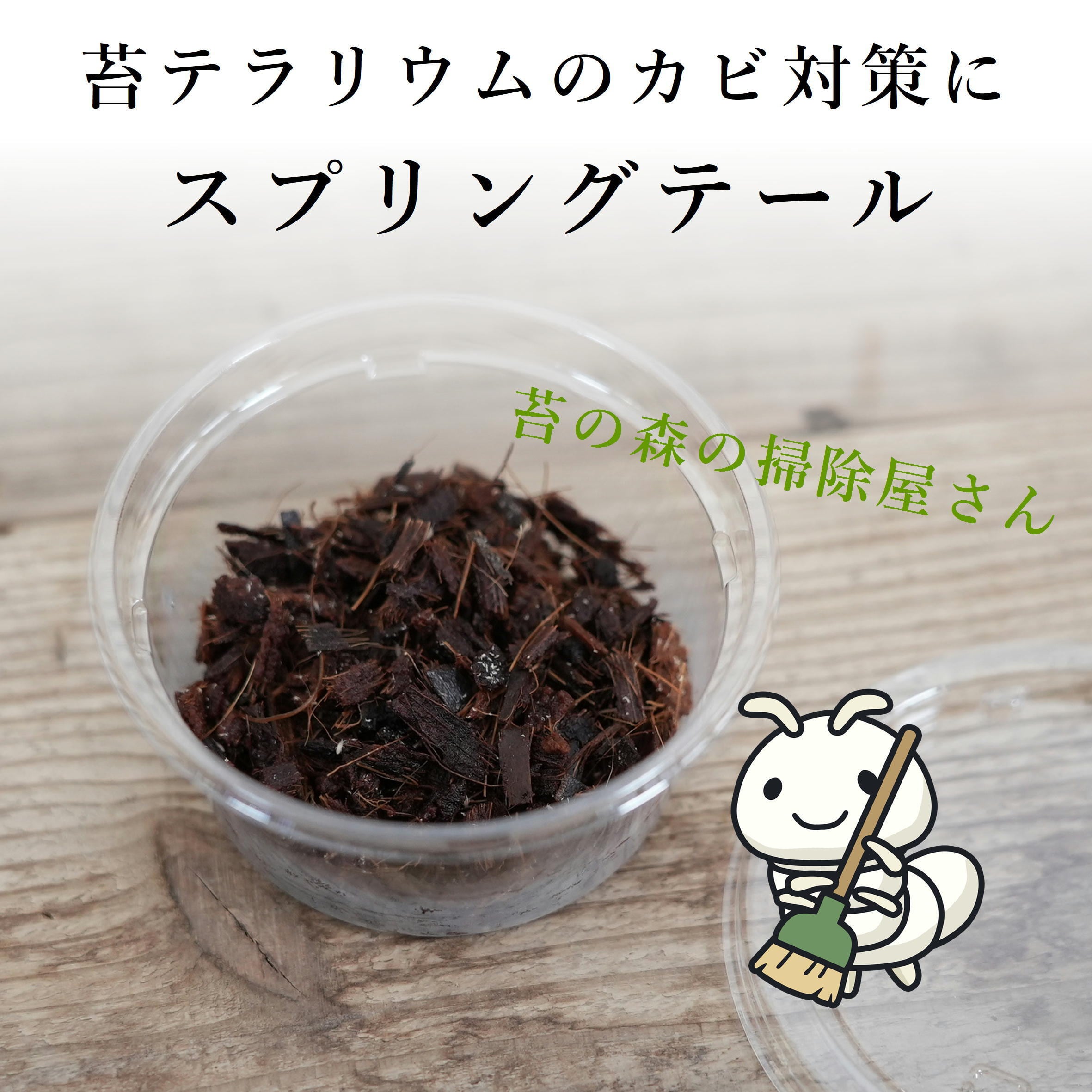 苔の森の掃除屋さんスプリングテール（アヤトビムシ）◇苔テラリウムの
