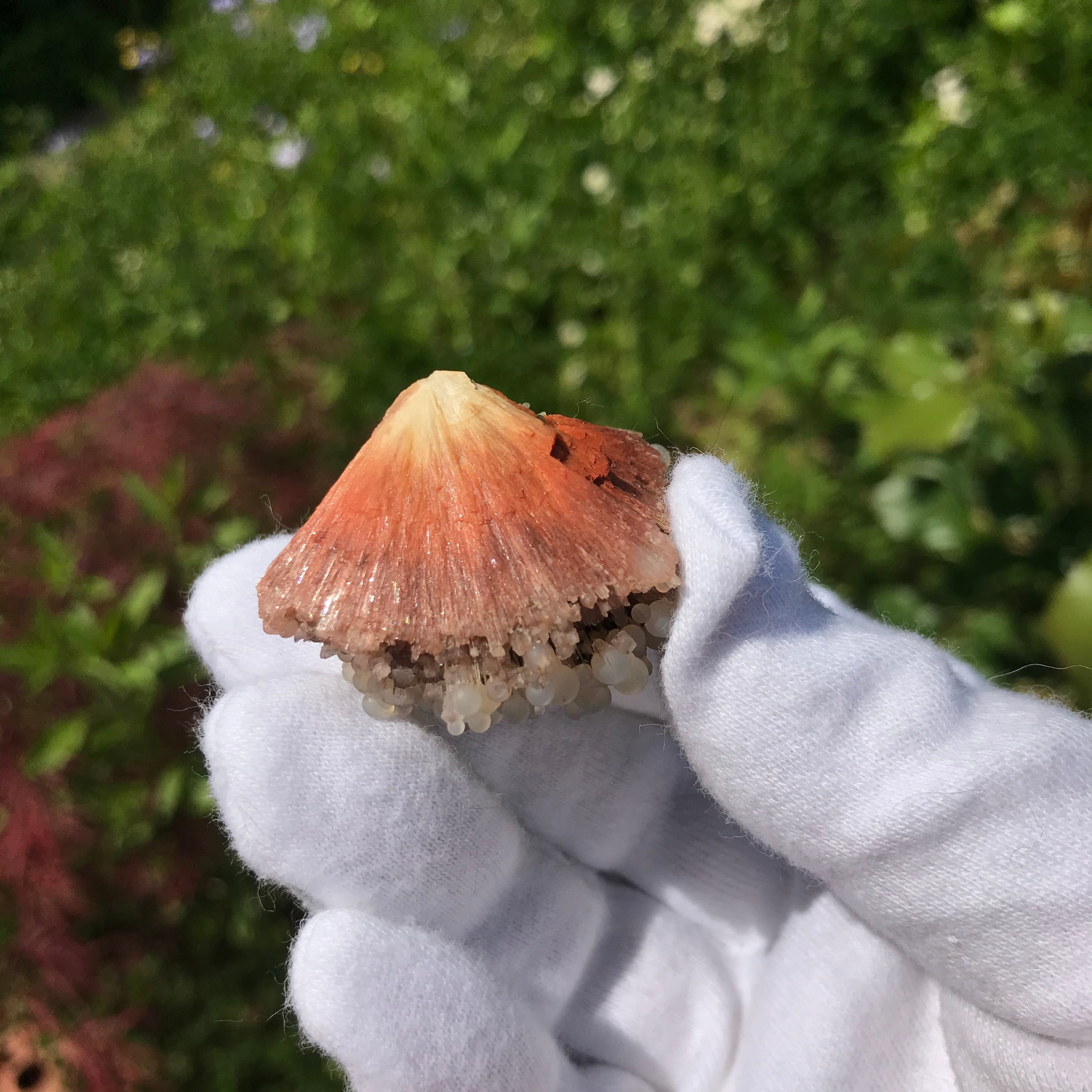 スコレサイト　カルセドニー スコレサイトwithカルセドニー 原石 | 原石 | Crystals by Purely