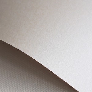 Paper Option_パール