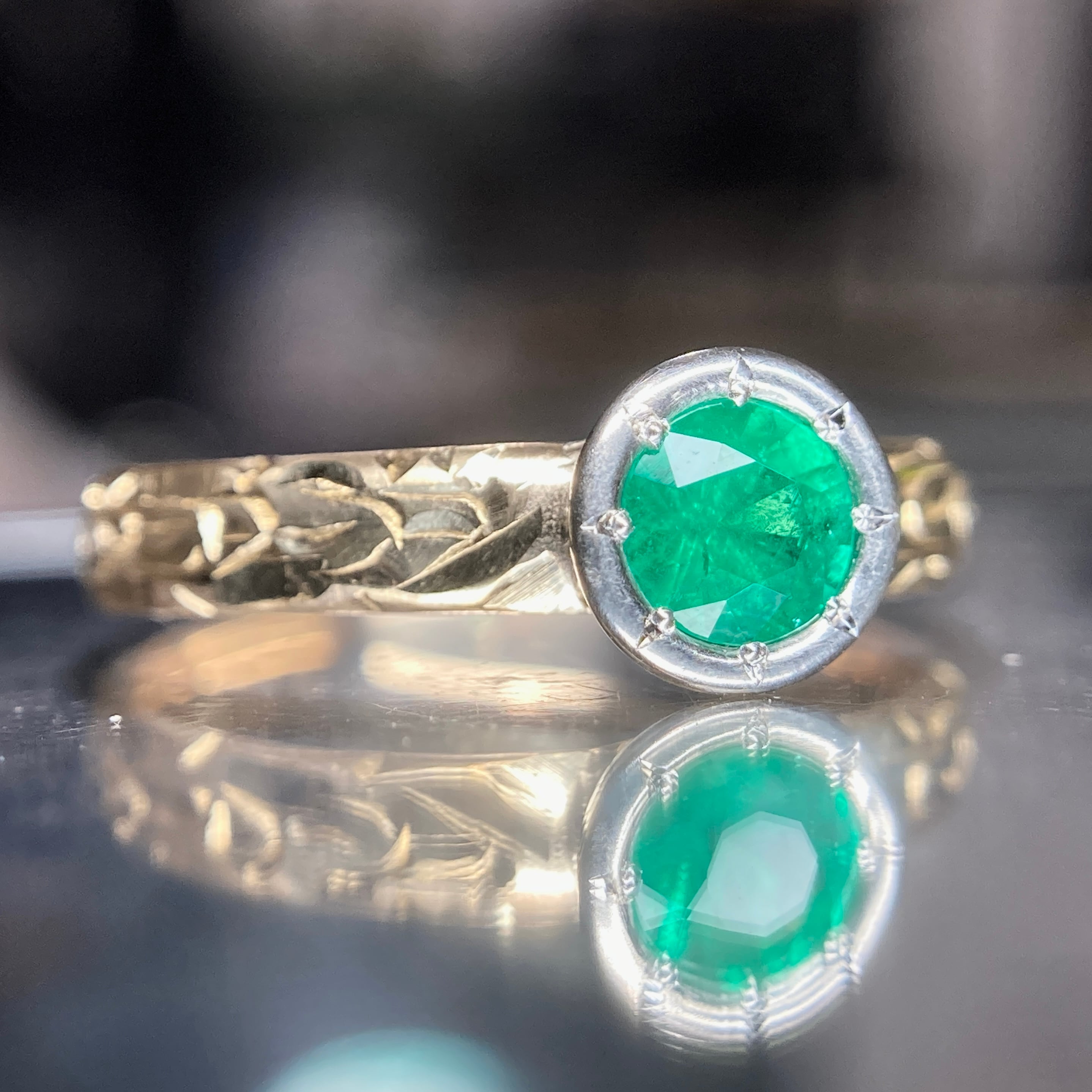 tatsuo nagahata　珊瑚　コーラル　k10 10号 観賞用サンゴ | オーストラリアで丁寧に飼育されたサンゴです。ソフト