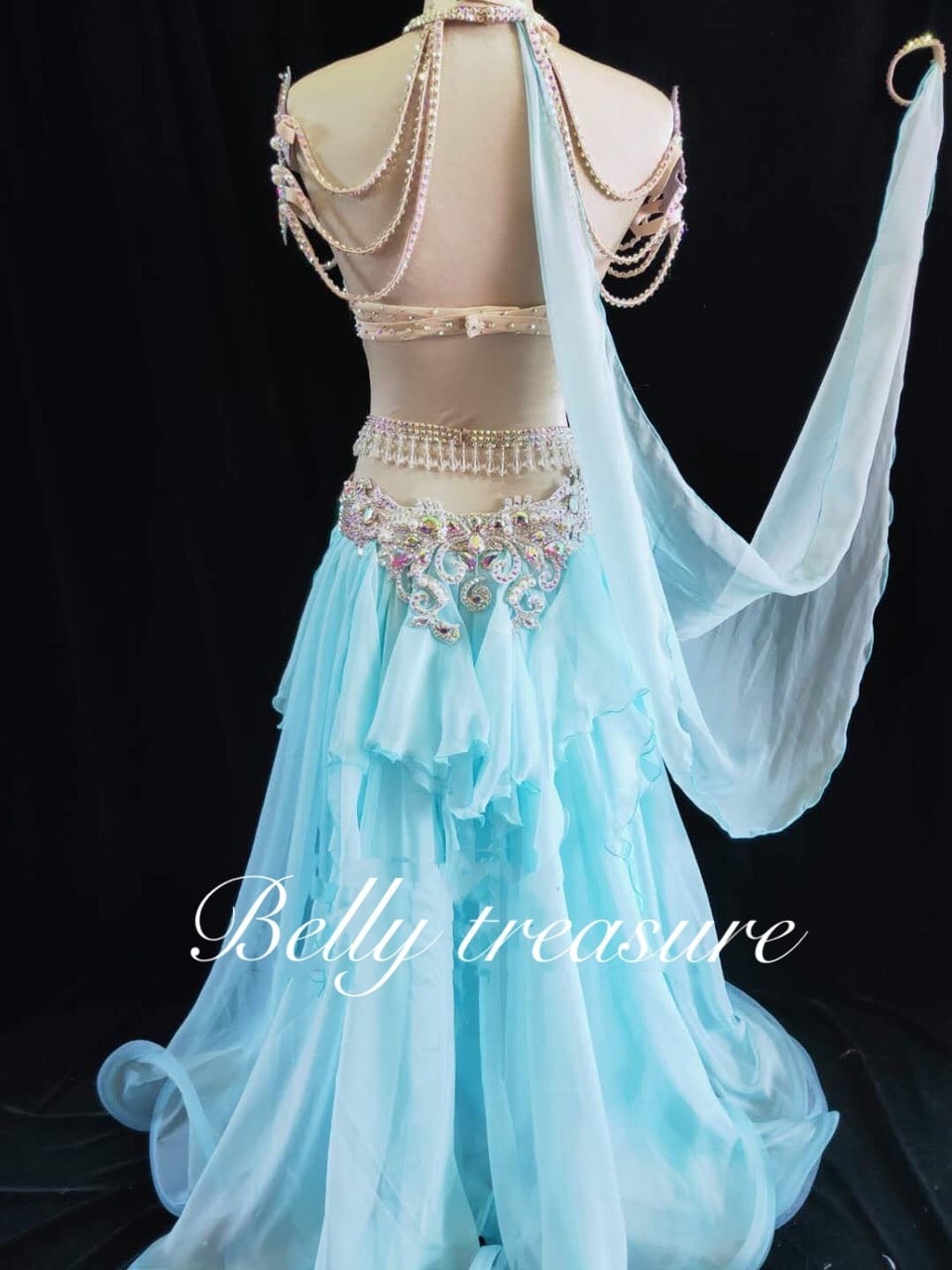 ベリーダンス オーダーメイド衣装 LY1232 202105 | Belly Treasure®︎