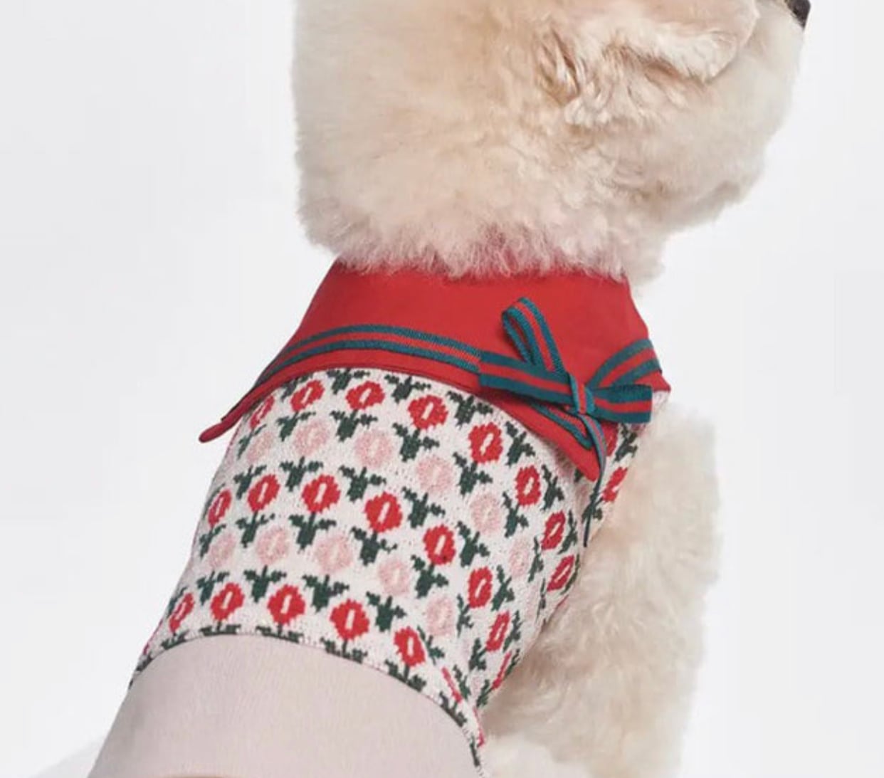 tulip button knit S ~ 2XL  /  犬服 秋冬 新作 可愛い 犬の服 ニット ドッグウェア 花柄 お揃い 袖なし カーディガン ベスト b40