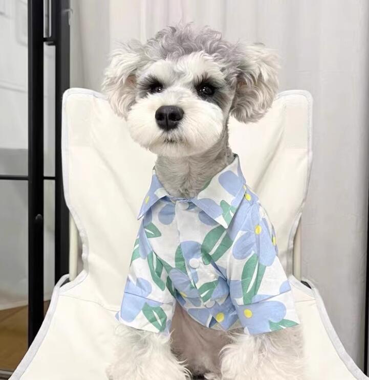 《予約》1102253 パンジーフラワーシャツ