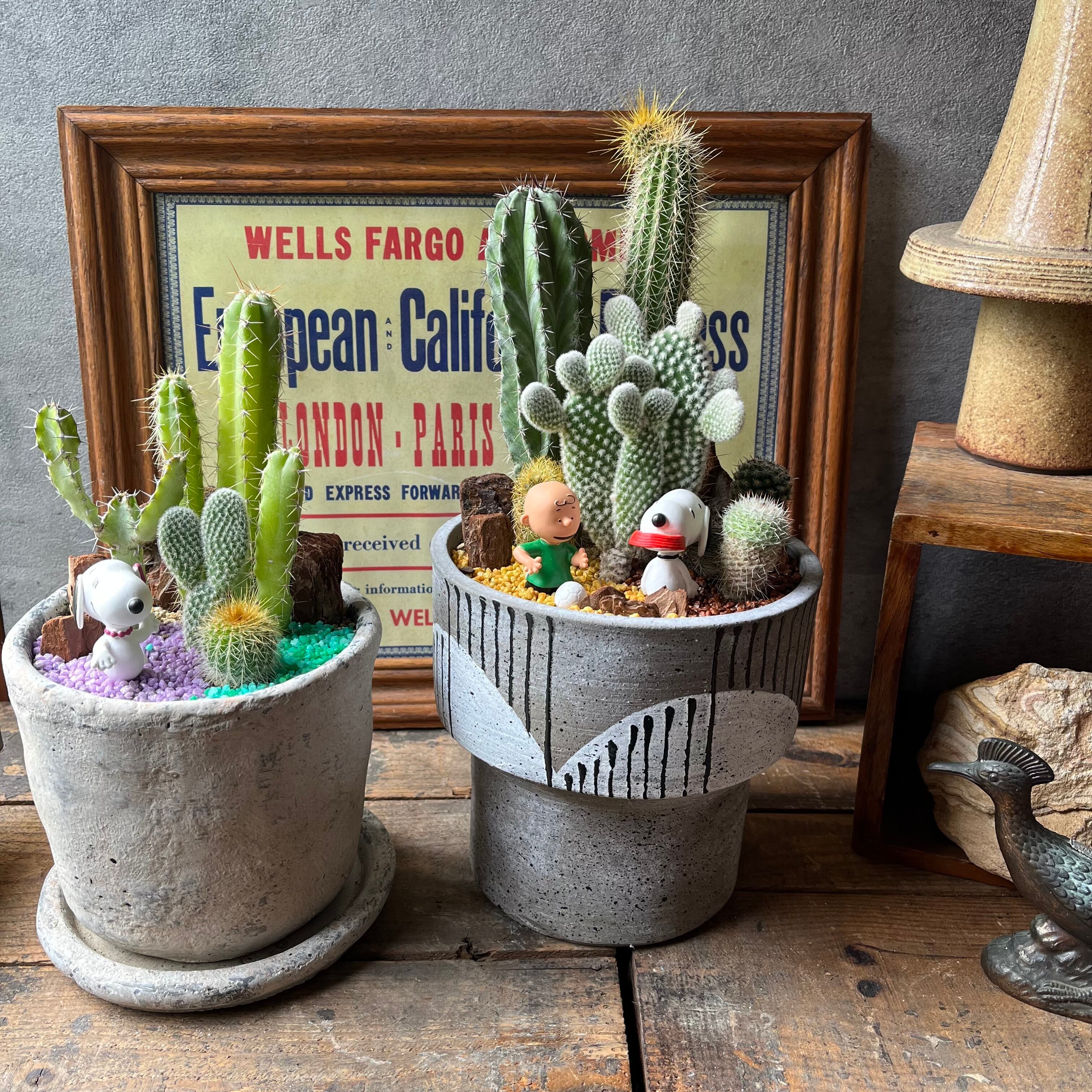 Charlie Brown&Snoopy | SABOTEN MISSILE