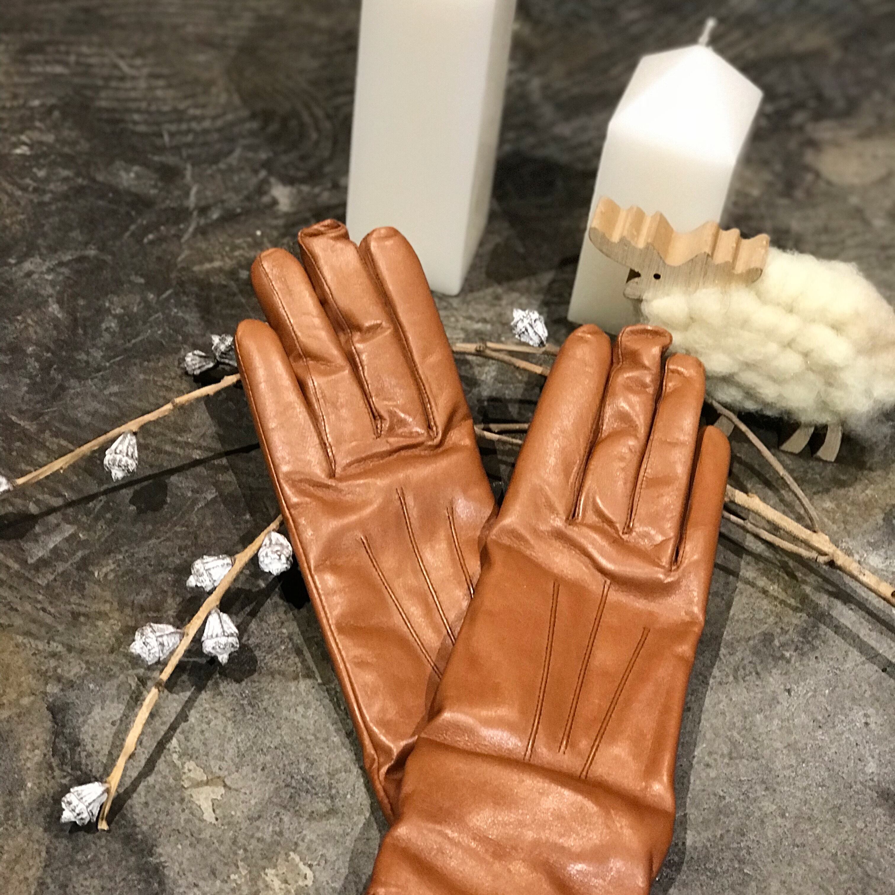 DENTS (デンツ) カシミアライニングレザーグローブ | Debby