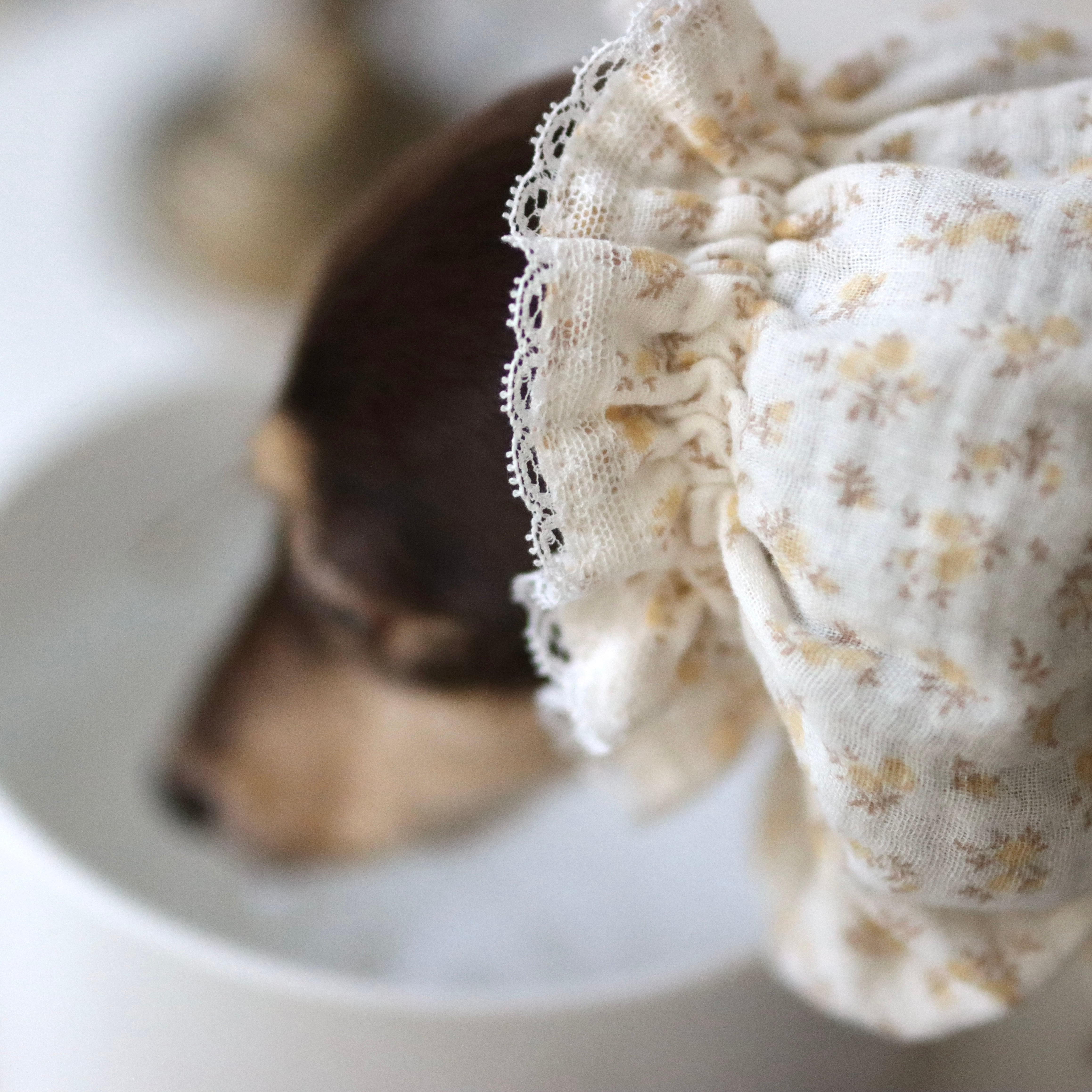 雑貨 | カニンヘンダックスとミニチュアダックス専門のお洋服web