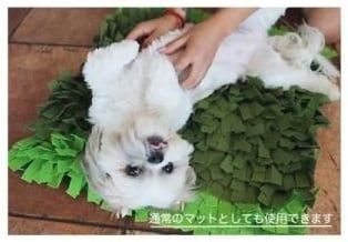 Petique ペティーク ノーズワークマット 芝生 スナッフルマット パズル