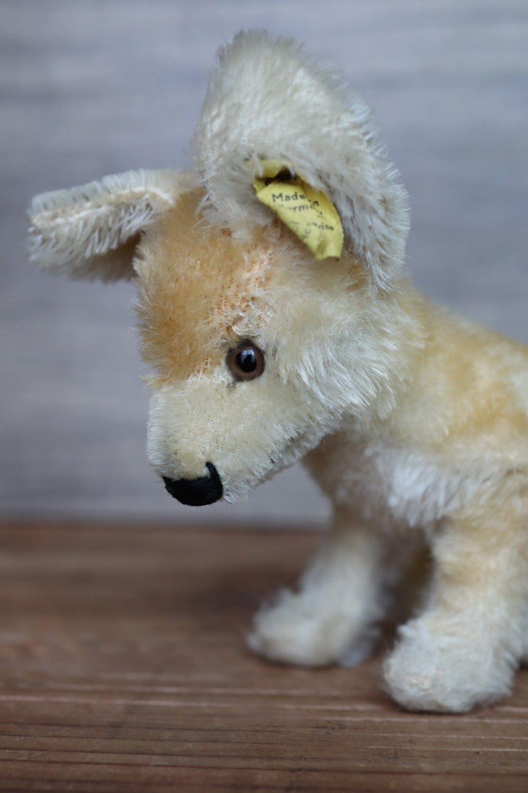 アンティーク シュタイフ きつね Xorry 17㎝